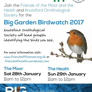 Big Garden Bird Watch 2017