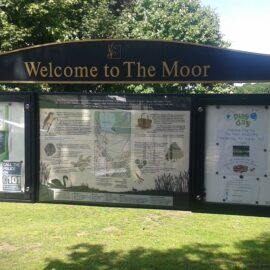 Friends of the Moor AGM